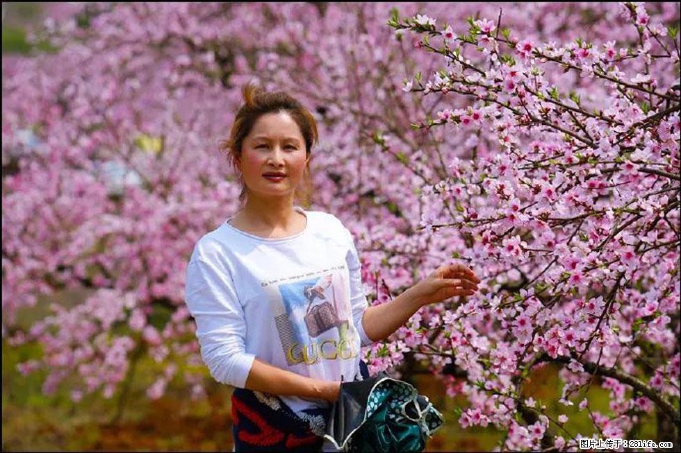 【春天，广西桂林灌阳县向您发出邀请！】官庄村有个醉美的桃花园 - 游山玩水 - 黄石生活社区 - 黄石28生活网 hshi.28life.net