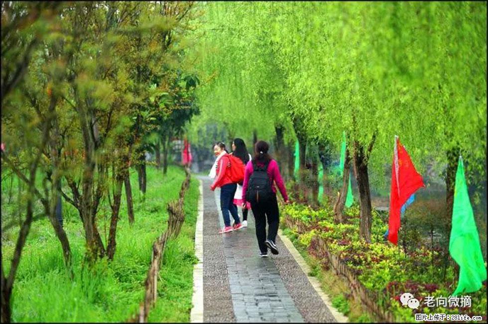 【春天，广西桂林灌阳县向您发出邀请！】江口老街又逢春 - 游山玩水 - 黄石生活社区 - 黄石28生活网 hshi.28life.net
