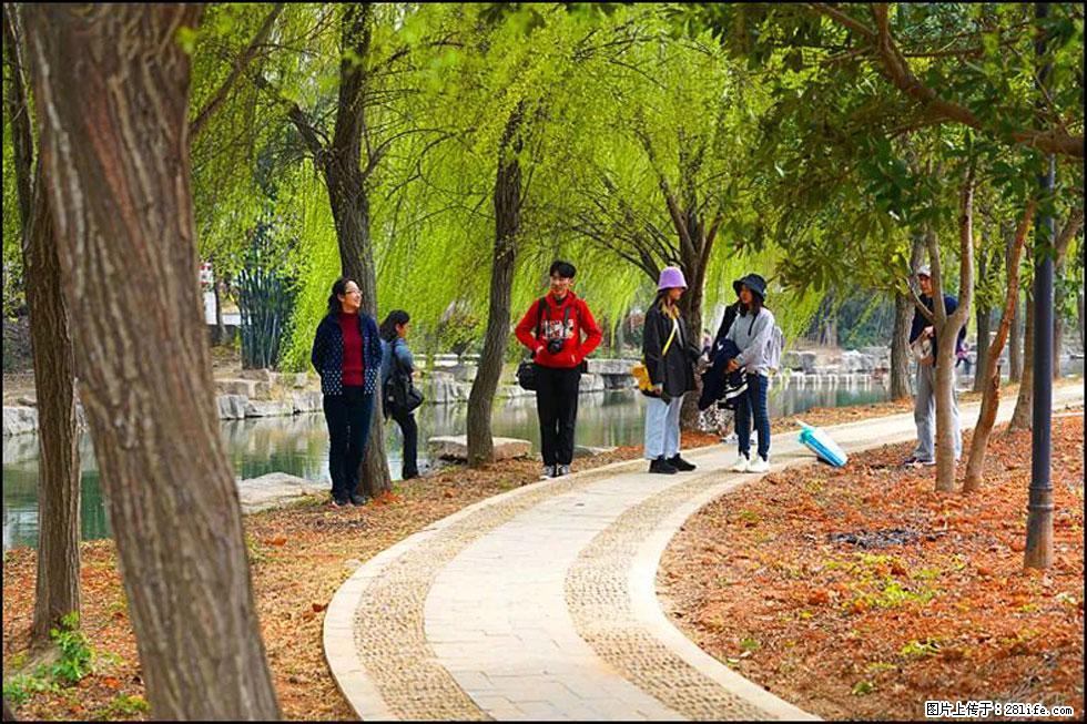 【春天，广西桂林灌阳县向您发出邀请！】江口老街又逢春 - 游山玩水 - 黄石生活社区 - 黄石28生活网 hshi.28life.net
