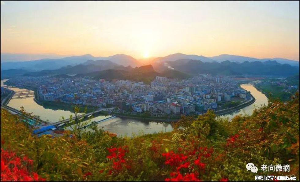 【春天，广西桂林灌阳县向您发出邀请！】登麒麟山，相约映山红 - 游山玩水 - 黄石生活社区 - 黄石28生活网 hshi.28life.net