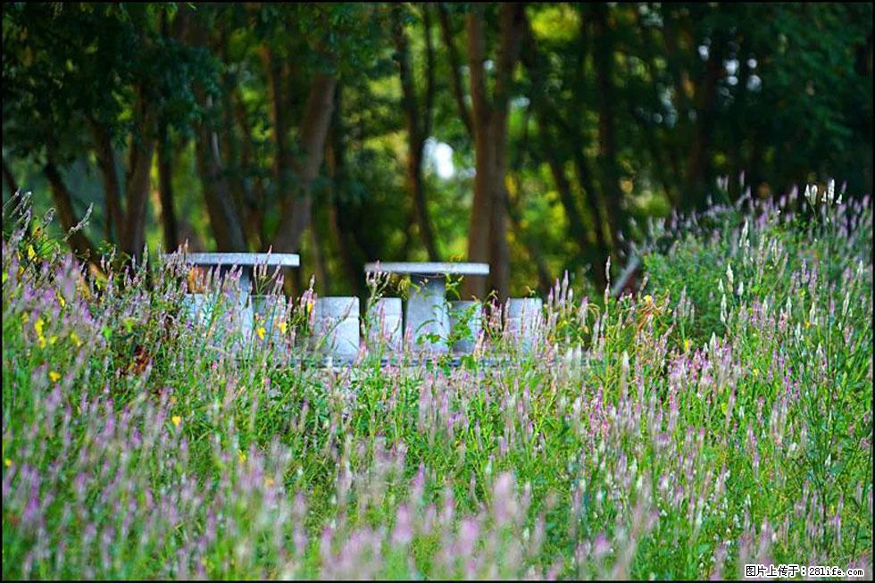 【春天，广西桂林灌阳县向您发出邀请！】熊家寨湿地公园 - 游山玩水 - 黄石生活社区 - 黄石28生活网 hshi.28life.net