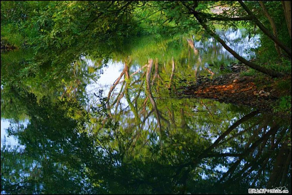 【春天，广西桂林灌阳县向您发出邀请！】熊家寨湿地公园 - 游山玩水 - 黄石生活社区 - 黄石28生活网 hshi.28life.net