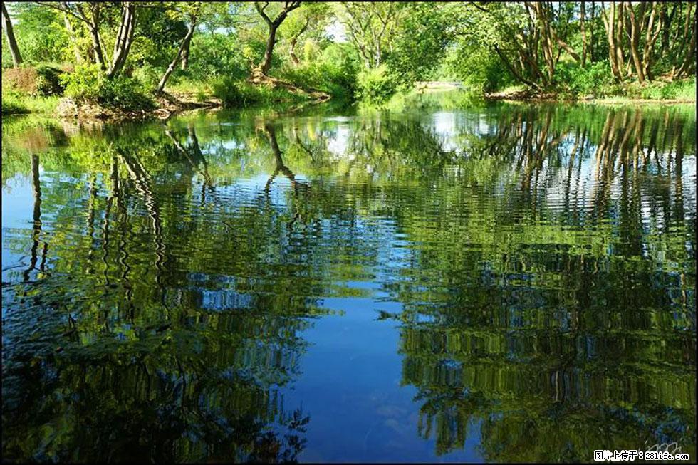 【春天，广西桂林灌阳县向您发出邀请！】熊家寨湿地公园 - 游山玩水 - 黄石生活社区 - 黄石28生活网 hshi.28life.net