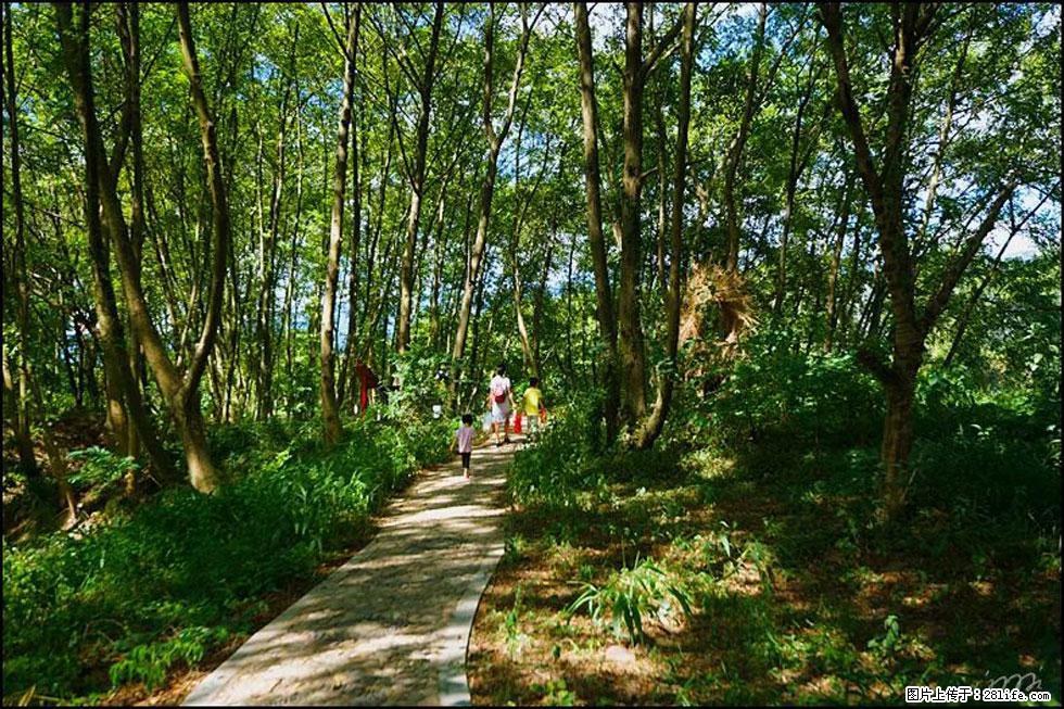 【春天，广西桂林灌阳县向您发出邀请！】熊家寨湿地公园 - 游山玩水 - 黄石生活社区 - 黄石28生活网 hshi.28life.net