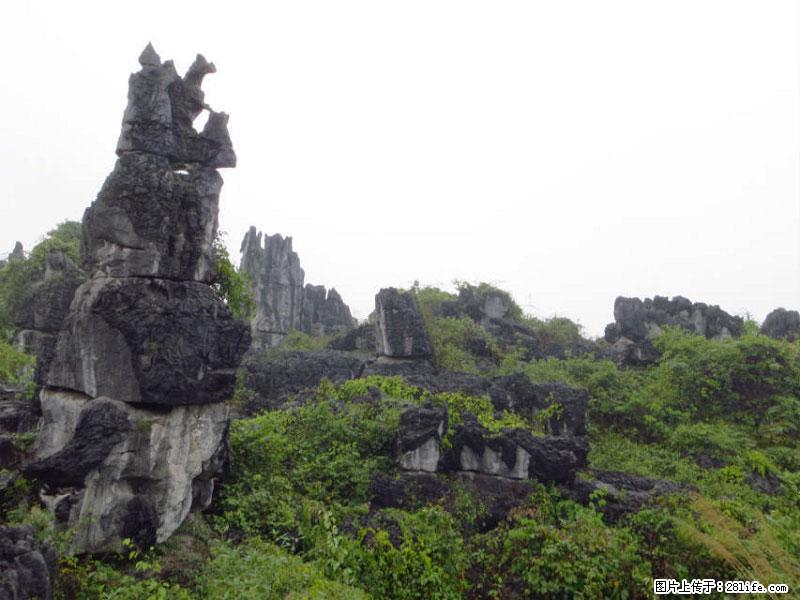 桂林旅游名城景点:灌阳文市石林 - 游山玩水 - 黄石生活社区 - 黄石28生活网 hshi.28life.net