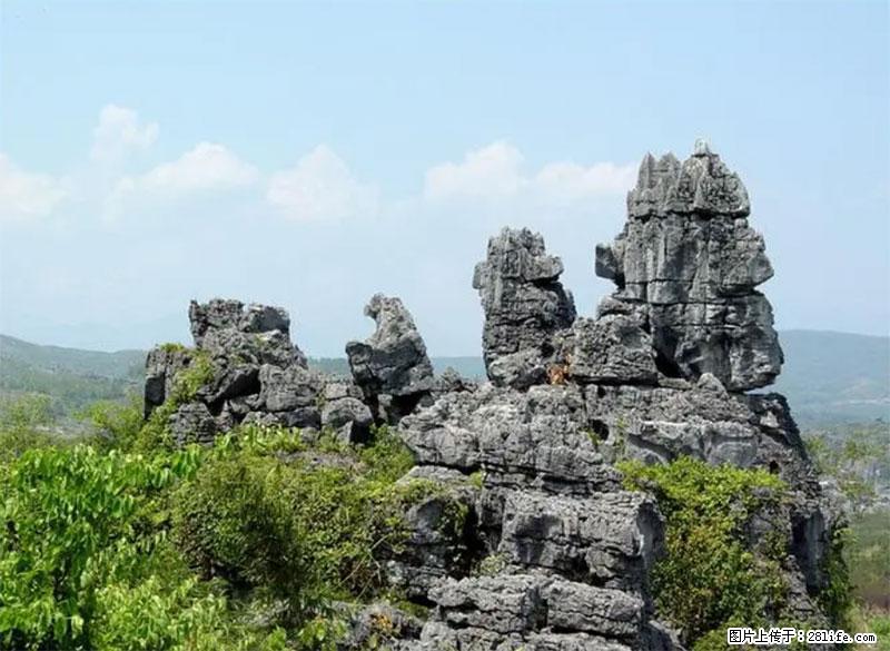 桂林旅游名城景点:灌阳文市石林 - 游山玩水 - 黄石生活社区 - 黄石28生活网 hshi.28life.net