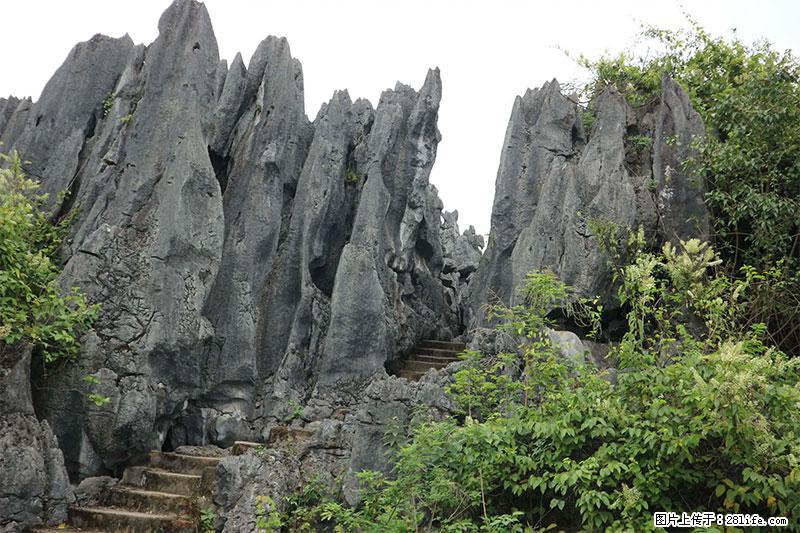 桂林旅游名城景点:灌阳文市石林 - 游山玩水 - 黄石生活社区 - 黄石28生活网 hshi.28life.net
