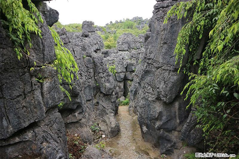 桂林旅游名城景点:灌阳文市石林 - 游山玩水 - 黄石生活社区 - 黄石28生活网 hshi.28life.net