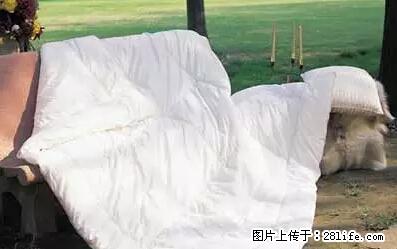 被子有异味？只要这样做，比晒太阳还强100倍！ - 家居生活 - 黄石生活社区 - 黄石28生活网 hshi.28life.net