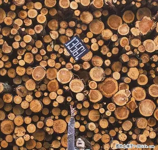 辞掉工作周游世界？现在他们在洗厕所…… - 游山玩水 - 黄石生活社区 - 黄石28生活网 hshi.28life.net