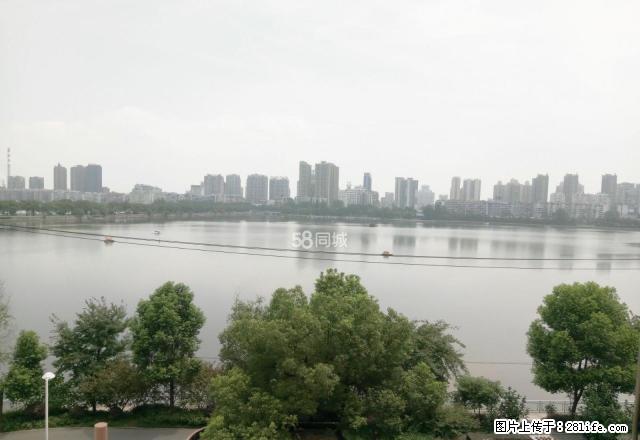 爱康医院附近 湖边中等装修两房900元每月拎包入住 - 房屋出租 - 房屋租售 - 黄石分类信息 - 黄石28生活网 hshi.28life.net