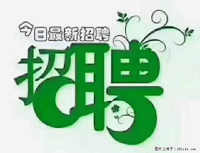 上海隔离酒店招人：55岁以下 男女不限 - 职场交流 - 黄石生活社区 - 黄石28生活网 hshi.28life.net