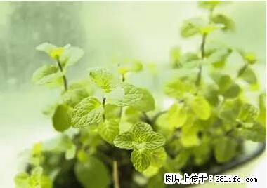 晕车、脚气、牙齿变黄、皮肤粗糙？学会这些三分钟搞定！ - 黄石生活资讯 - 黄石28生活网 hshi.28life.net