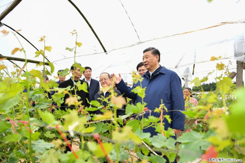 习近平赴广西考察调研 - 黄石生活资讯 - 黄石28生活网 hshi.28life.net
