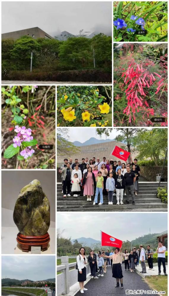 “粤灌文化 美好生活”油茶文化主题活动在广东深圳成功举办 - 黄石生活资讯 - 黄石28生活网 hshi.28life.net