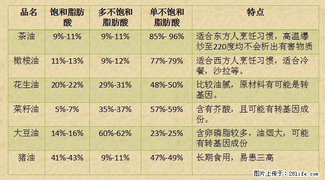 揭秘茶油的5大核心营养成分！被称为人体健康的“守护盾”！ - 黄石生活资讯 - 黄石28生活网 hshi.28life.net