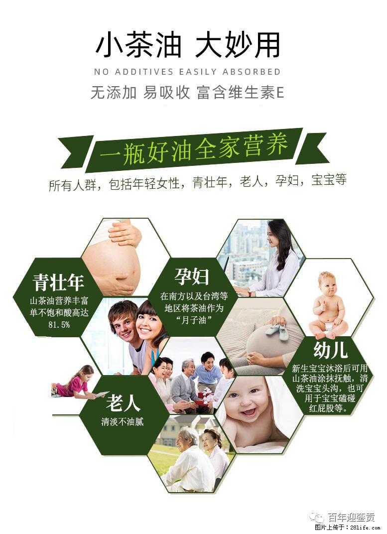 世界没有真相，只有认知，最好的食用油是中国的山茶油！ - 黄石生活资讯 - 黄石28生活网 hshi.28life.net
