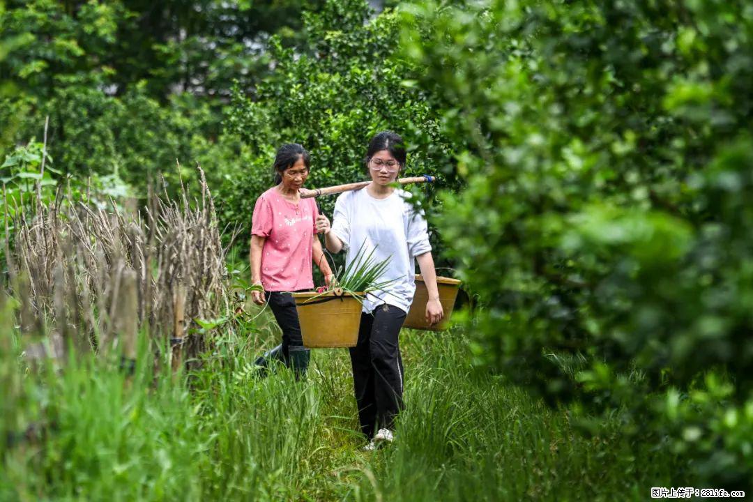 全网追的“扁担女孩”，找了一份暑假工，时薪12元 - 黄石生活资讯 - 黄石28生活网 hshi.28life.net
