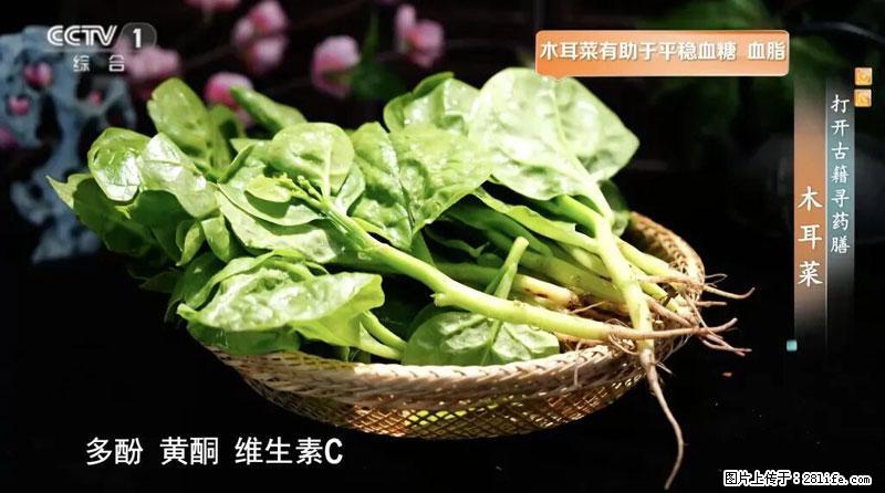 比牛奶补钙还厉害！凉血解毒、稳血糖...这菜冬天必吃，很多人却当草 - 黄石生活资讯 - 黄石28生活网 hshi.28life.net