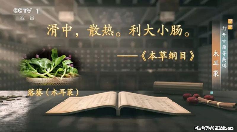 比牛奶补钙还厉害！凉血解毒、稳血糖...这菜冬天必吃，很多人却当草 - 黄石生活资讯 - 黄石28生活网 hshi.28life.net